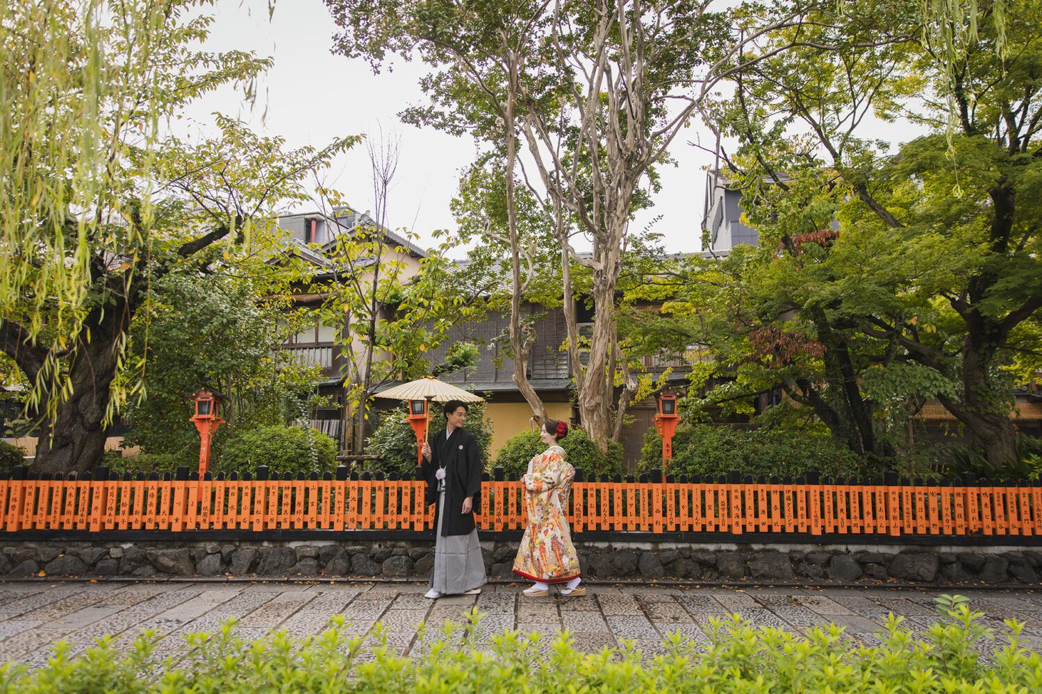 祇園の石畳を白番傘で色打掛で歩く花嫁と新郎