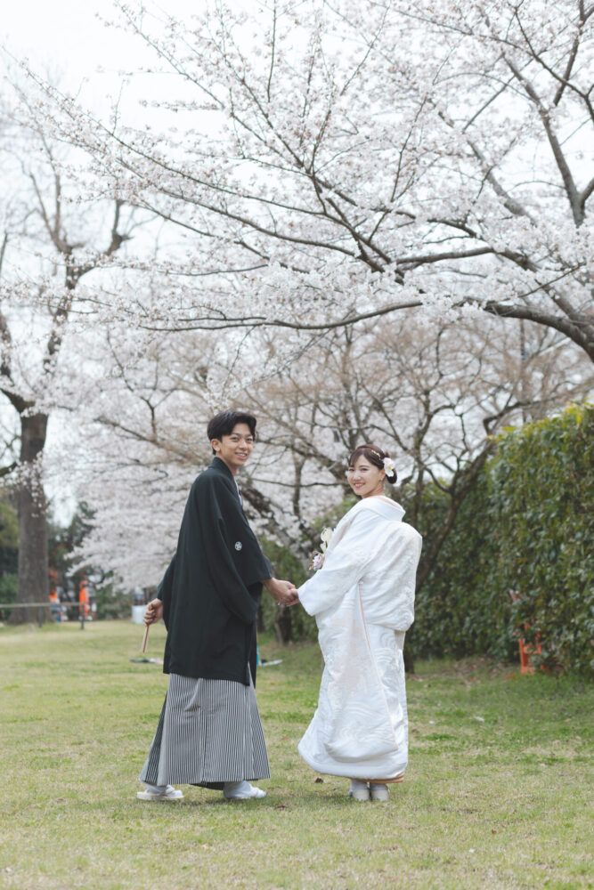 上賀茂神社の桜と白無垢の花嫁と新郎