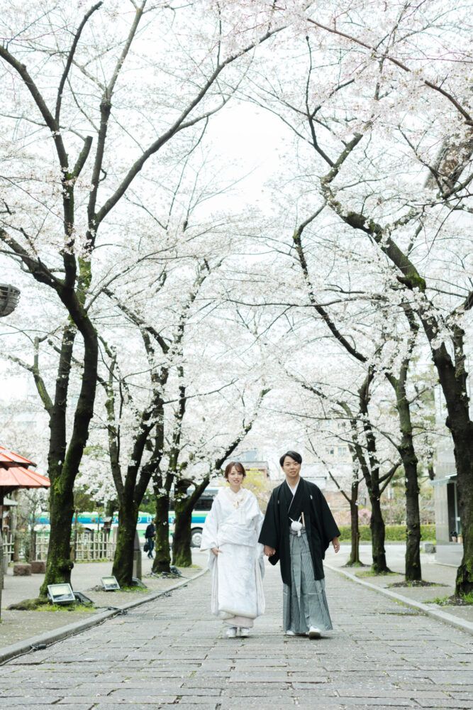 祇園の桜並木を白無垢で歩く花嫁と新郎