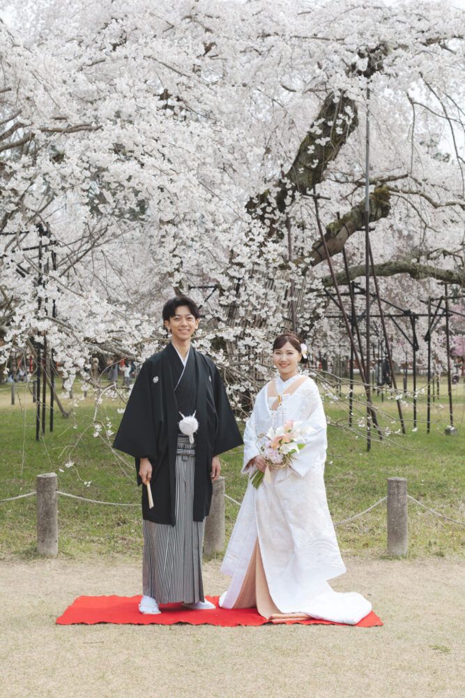 上賀茂神社の枝垂桜を背景での白無垢の花嫁と新郎