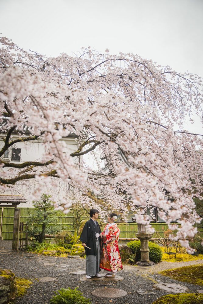 金戒光明寺で色打掛の花嫁と新郎