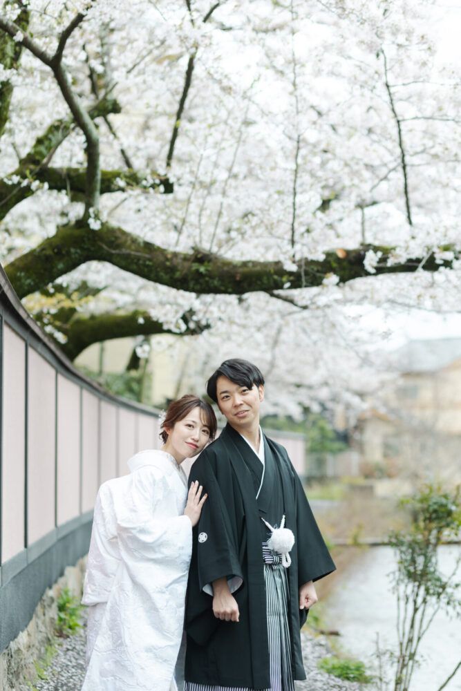 平安神宮周辺の白川疎水の桜の中で