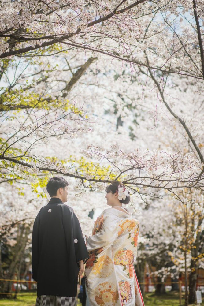 京都でフォトウェディング｜上賀茂神社の桜と色打掛のフォトウェディング｜京都町家寫眞館