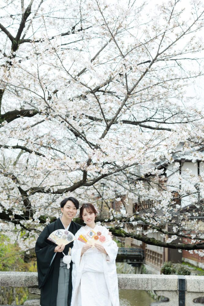 祇園の桜を背景での白無垢の花嫁と新郎
