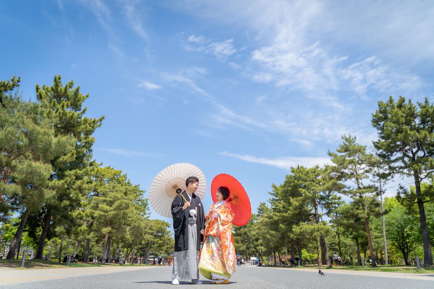 平安神宮の神宮道で紅白の番傘をもて色打掛の花嫁と新郎