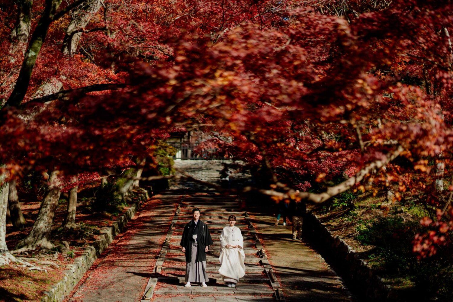 紅葉の毘沙門堂にて。石畳みの階段での新郎新婦。