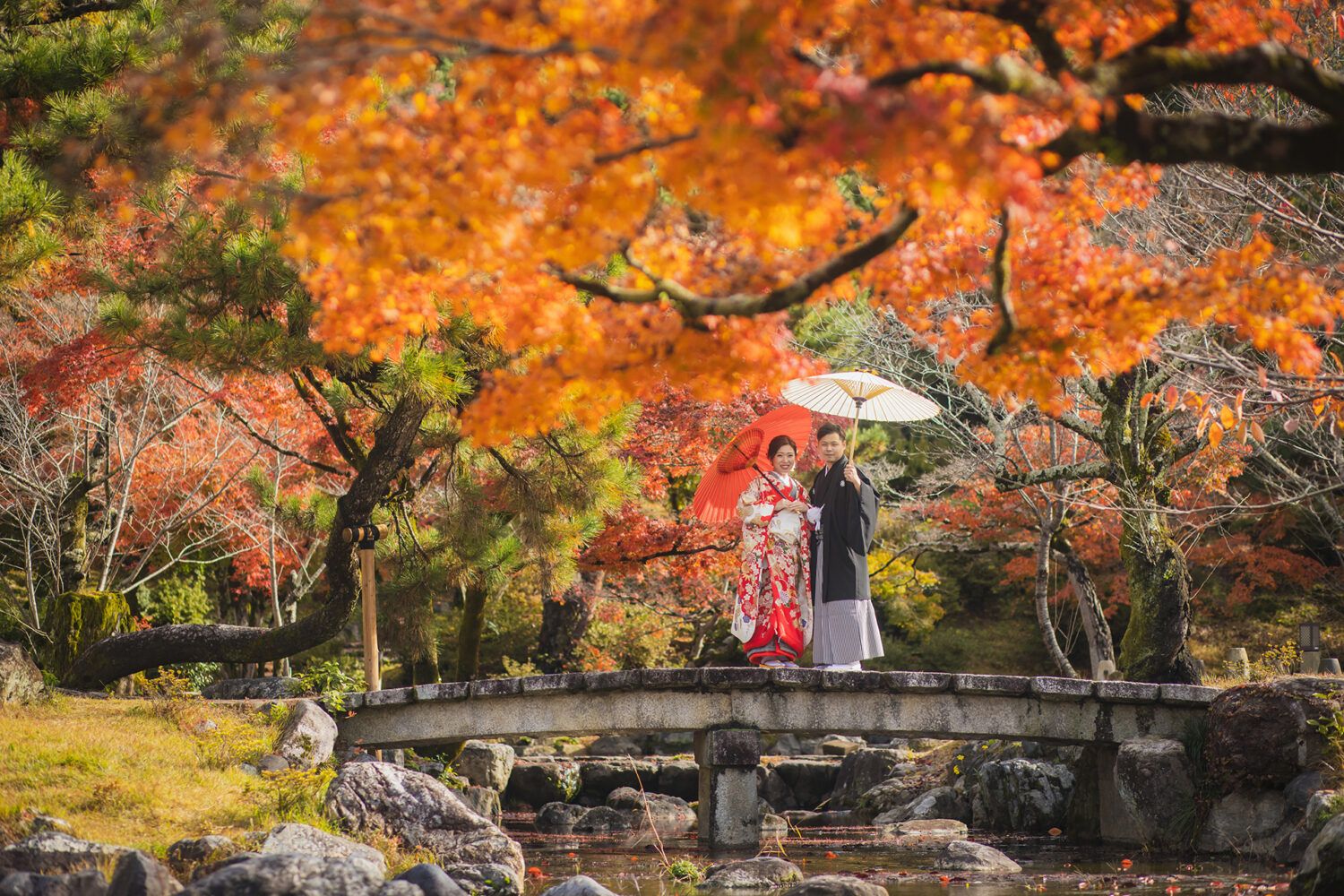 円山公園の美しい紅葉を背景に色打掛姿の花嫁と新郎