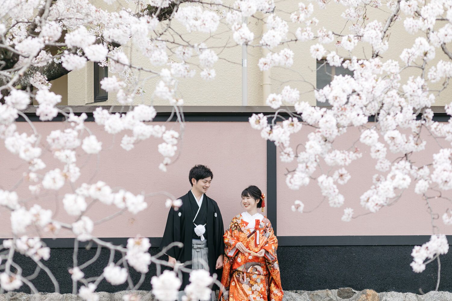 平安神宮周辺の白川疎水の桜の中で