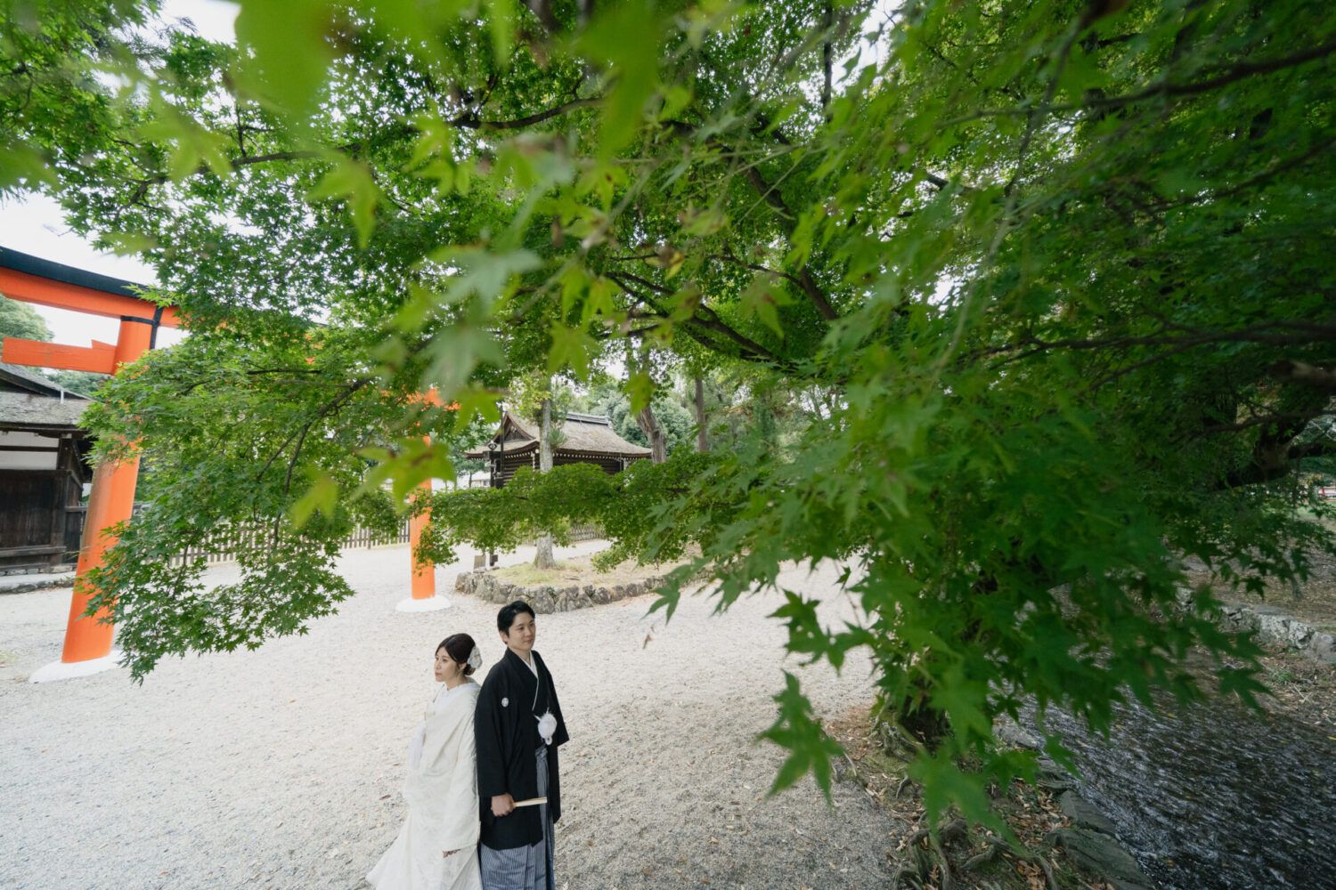 上賀茂神社で白無垢の花嫁と新郎
