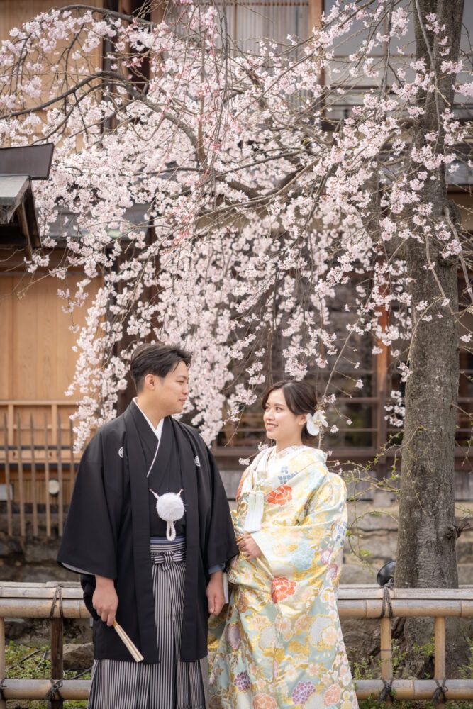 祇園の桜での色打掛の花嫁と新郎
