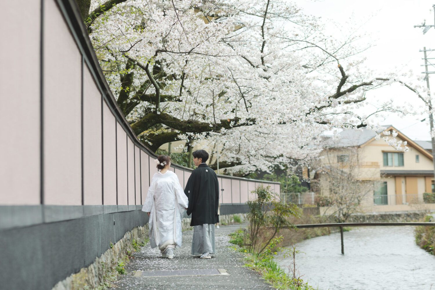 平安神宮周辺の白川疎水横を歩く姿