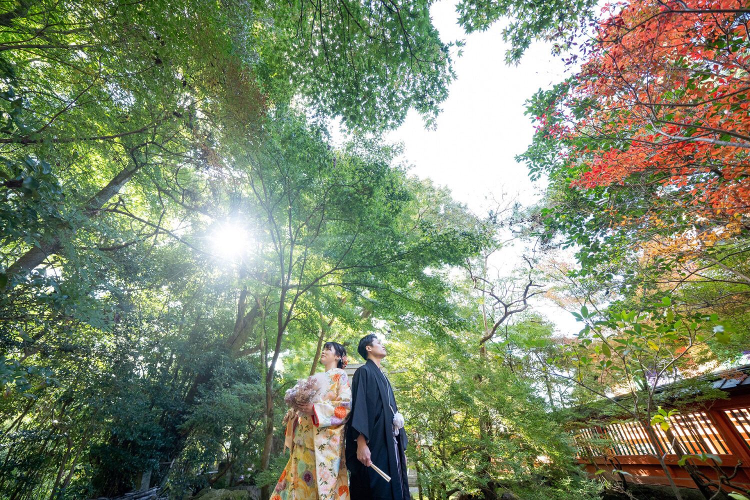 毘沙門堂の木々の下。色打掛の花嫁と新郎。