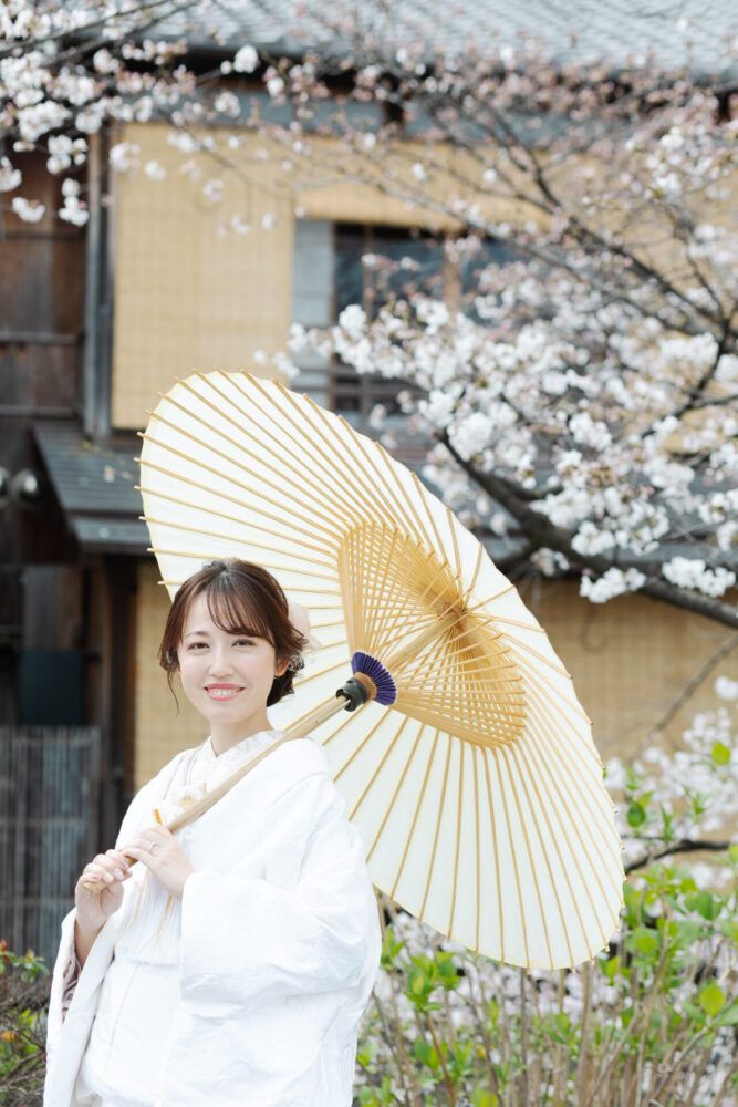 祇園の桜と白番傘での白無垢の花嫁