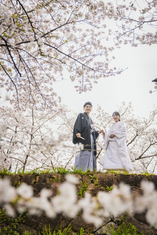 インクライン周辺で桜を背景に白無垢の花嫁と新郎