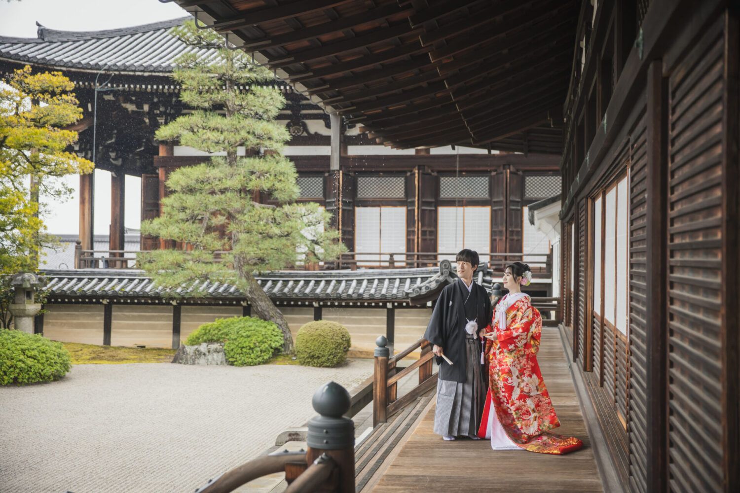 金戒光明寺の本堂の廊下で庭園を色打掛の花嫁と新郎が見つめる姿