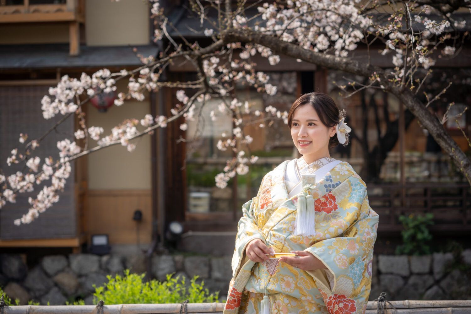 祇園の白川沿いで色打掛の花嫁