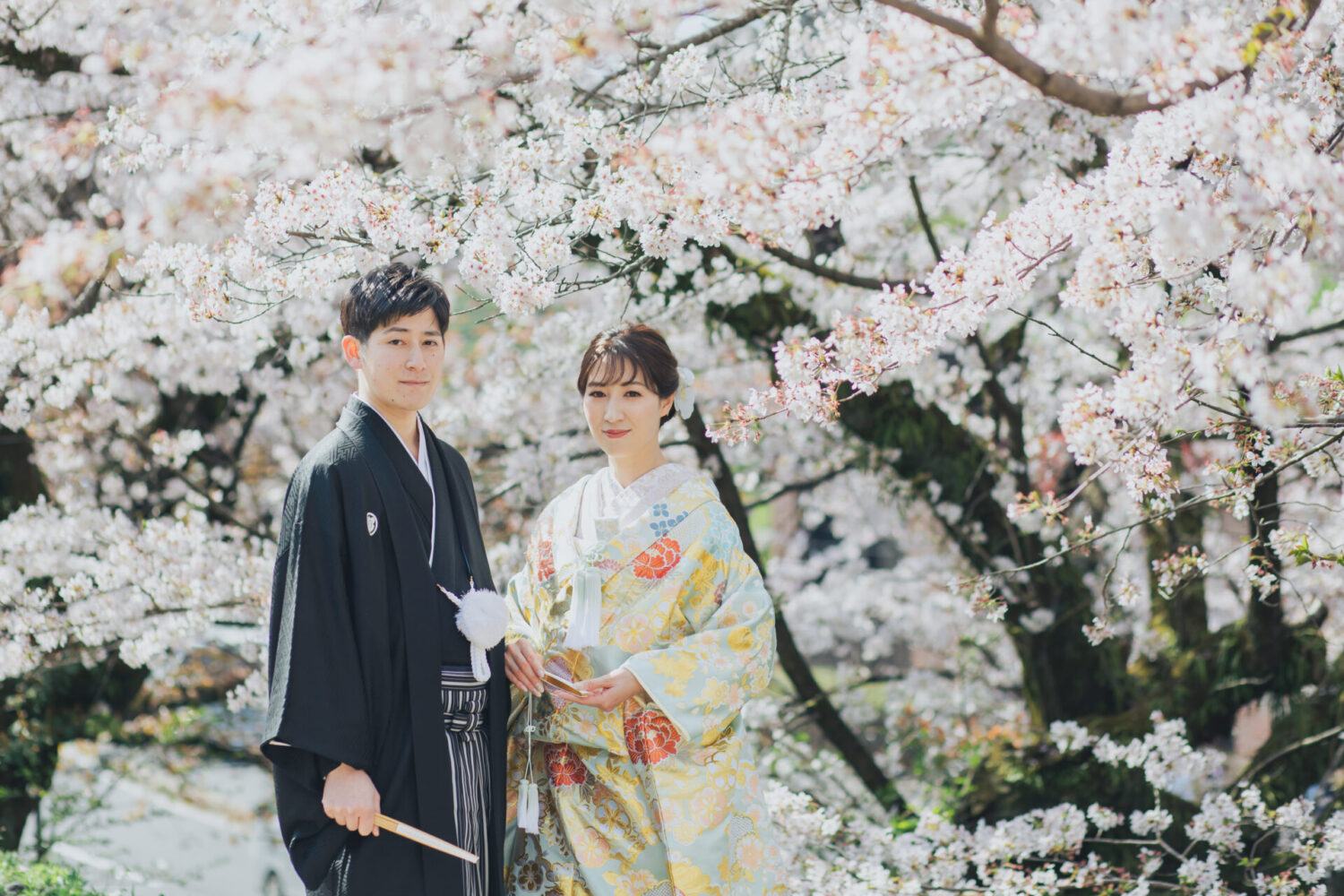 満開の桜の下に並ぶ、和装の新郎新婦