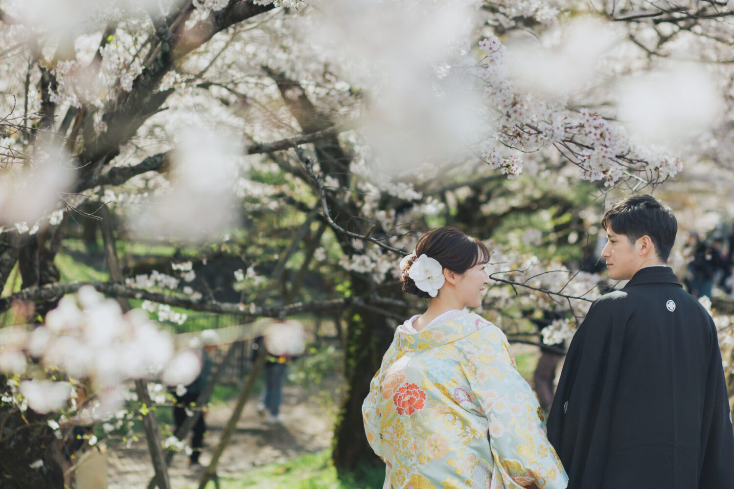 満開の桜の中での一枚。春の京都はどこも満開の桜で華やぎます。
さわやかな春によく似合うミントグリーンの打掛はこの季節にぴったりですね。