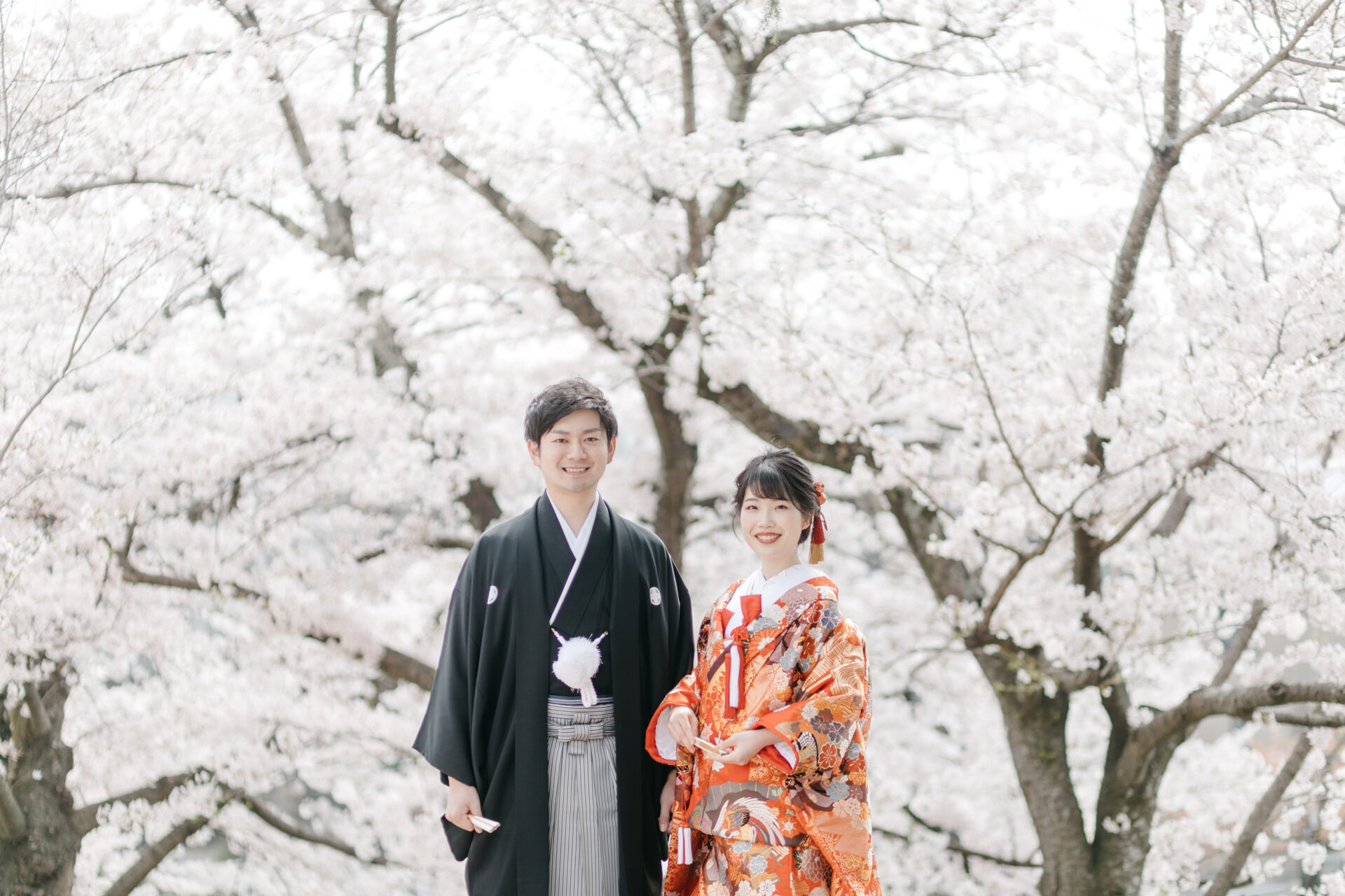 春の満開の桜をバックに撮影。京都は桜の名所でもあり、フォトウェディングにももちろんおすすめ。圧巻の一枚です。