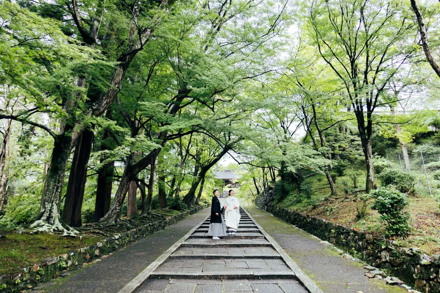 毘沙門堂でのフォトウェディング。緑に包まれた石階段での新郎新婦。